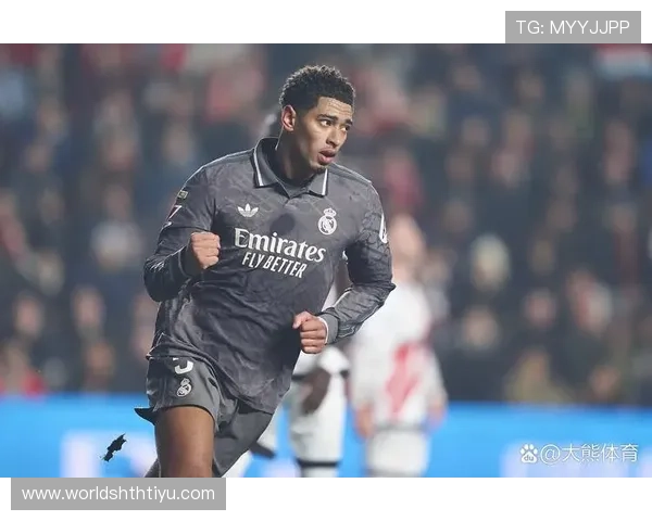 深入解析华体会体育体育平台成为皇马官方赞助商的重要意义与行业影响