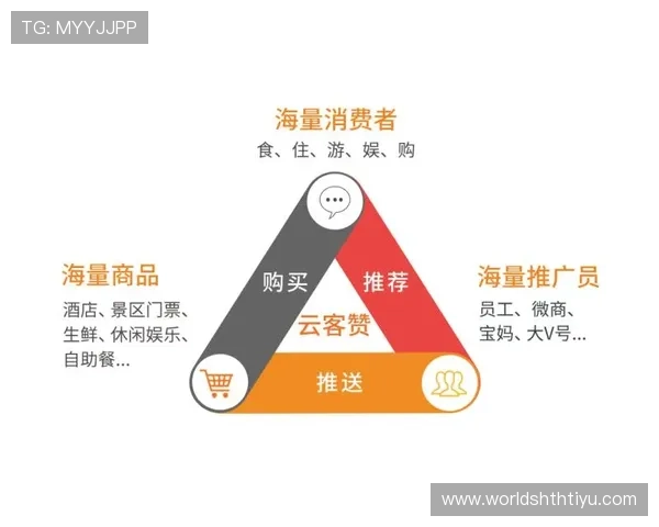 半岛体育官方会员制度详解及权益福利全面介绍